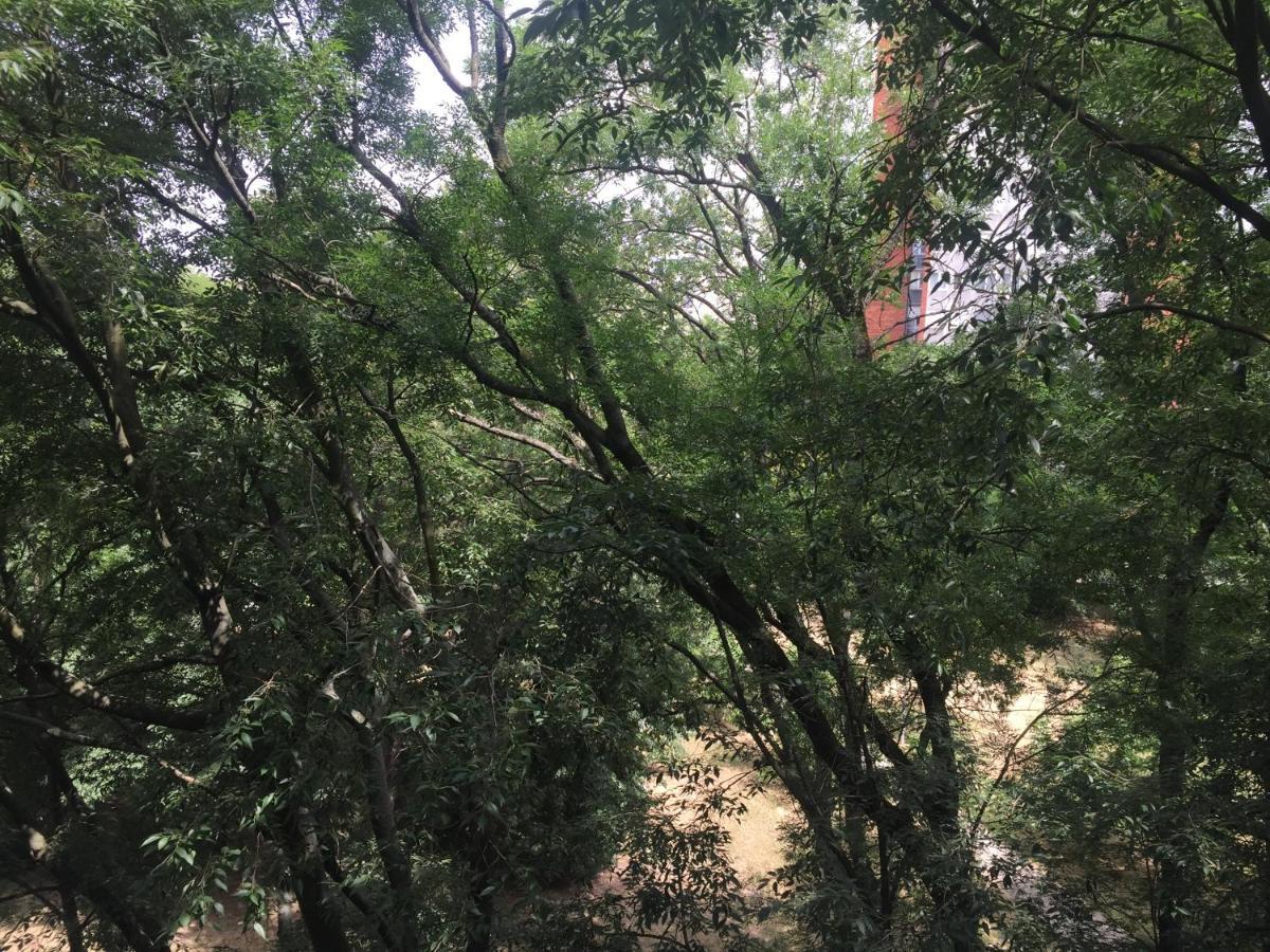 Apartment Ljiljana 베오그라드 외부 사진