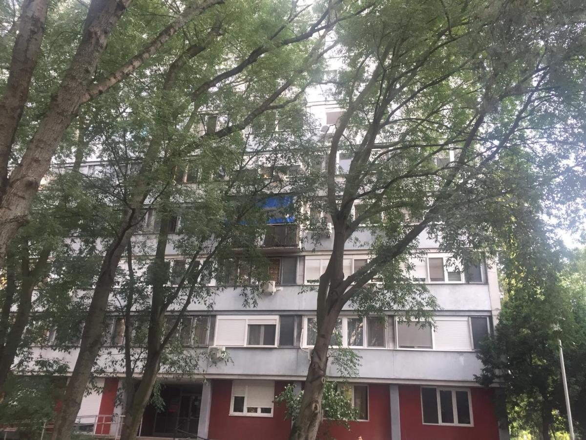 Apartment Ljiljana 베오그라드 외부 사진